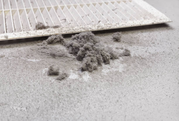 Best Air Duct Sanitizing Services  in Yulee, FL